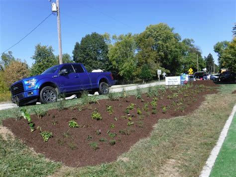 Native Plant Gardens – Westfield Green Together