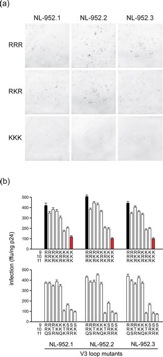 Effect Of Lysine To Arginine Mutagenesis In The V3 Loop Of Hiv 1 Gp120