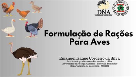 Formula O De Ra Es Para Aves Frangos De Corte Poedeiras Matrizes