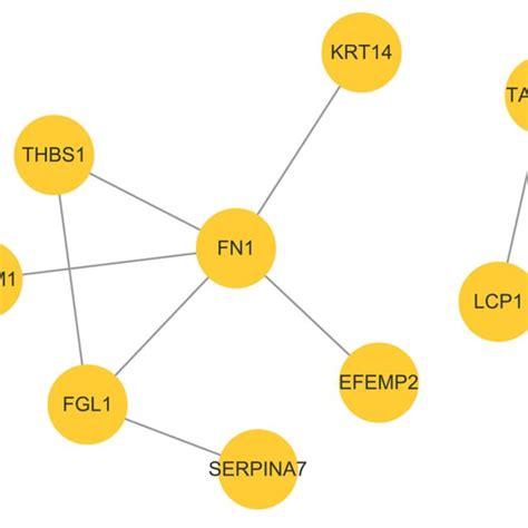 Protein Protein Interaction Network Analysis Based On Deps In The P