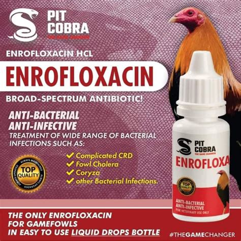 Pit Cobra Enrofloxacin Drops Ml Gamefowls Fighting Cock Pigeons