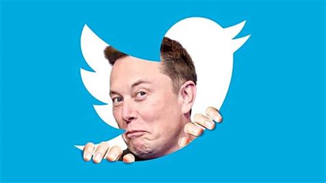 Elon Musk Tiene Previsto Despedir A La Mitad De Los Empleados De Twitter