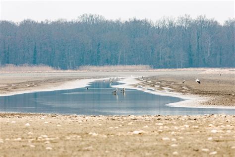 Environnement Un Risque Av R De S Cheresse Cet T Pour Plusieurs