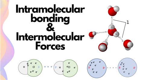 Intramolecular And Intermolecular Forces Explained Hsc Chemistry Youtube