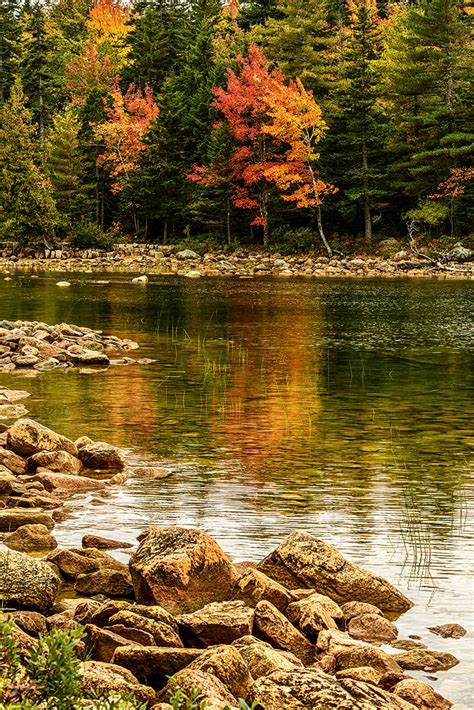 Fall Colors: Acadia: National Parks: Beautiful Landscape, Seascape ...