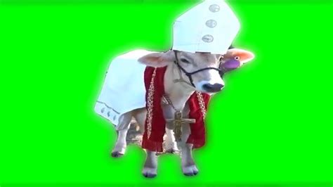 Holy Cow Meme Green Screen Youtube