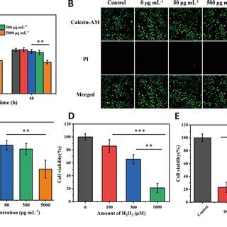 A Cell Viability Of Different Gel Zif On L Cells At H And H