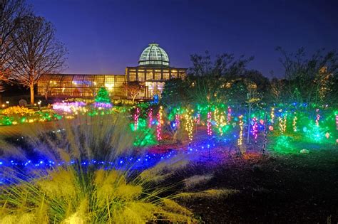 8 Botanical Garden Christmas Lights to Consider for Decorating