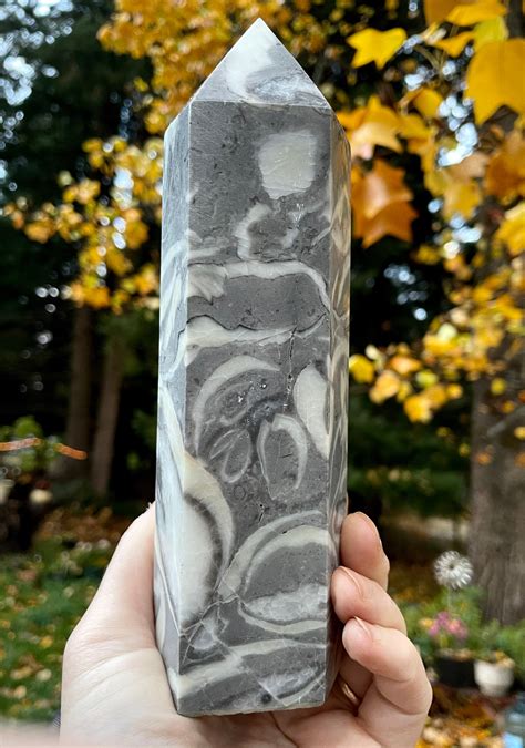 222 Lb Thousand Eyes Stone Or Fossil Shellstone Jasper Obelisk Pillar