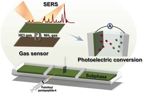 焦体峰教授课题组Colloids and Surfaces A Chemical gas sensor surface enhanced