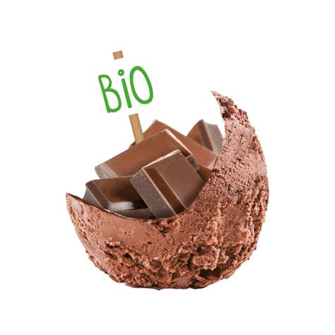 Crème glacée chocolat bio 2 4 L 1 32 KG Réseau Krill