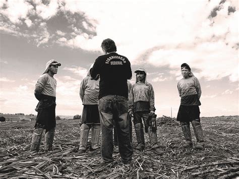 Em 2023 11 trabalhadores foram resgatados no Piauí em condições