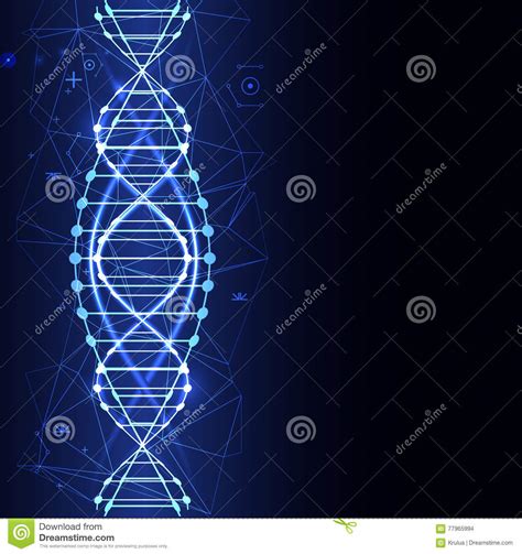 Wetenschapsmalplaatje Behang Of Banner Met Een Dna Molecules Vector