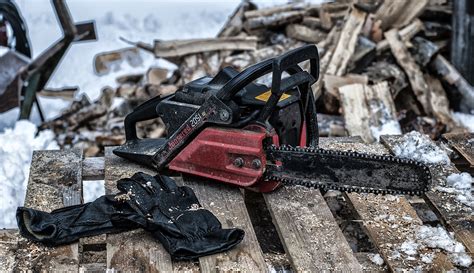 100+ Free Chainsaw & Nature Images - Pixabay