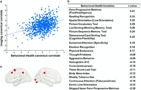 Global Sparse Canonical Correlation Analysis A Significant