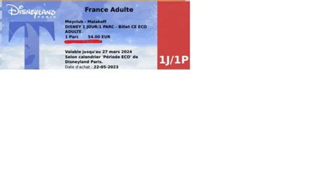 BILLET D ENTRÉE POUR Disneyland Paris 1 parc EUR 45 00 PicClick FR