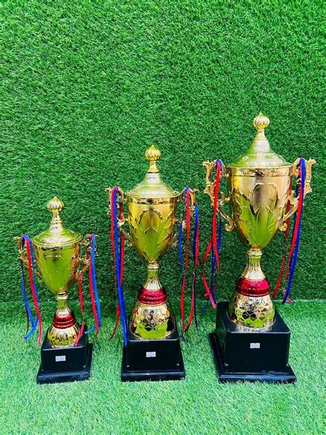 Fiber Golden Cricket Trophy Set, Shape: Cup, Size: 15-20 inch at ₹ 2000 ...