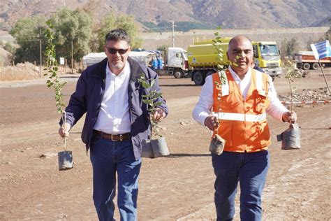 Minera Catemu culmina renovación de su cortina vegetal para