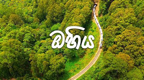 sri lanka ohiya relaxing video  youtube