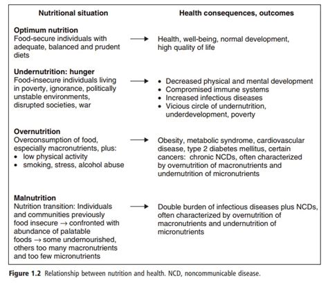 Relationship between nutrition and health