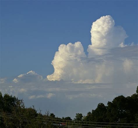 Cumulus congestus cloud - Alchetron, the free social encyclopedia