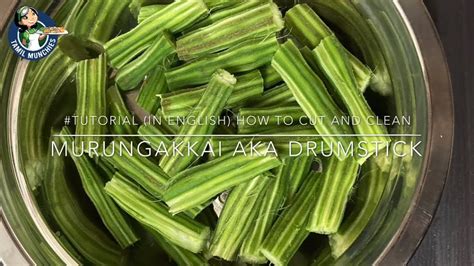 Tutorial (In English) How to cut, clean and store Murungakkai aka ...