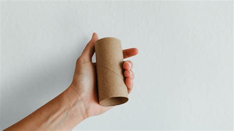 Rolo De Papel Higiênico - O que fazer com o rolo de papel higiênico? Saiba agora! - Claramax