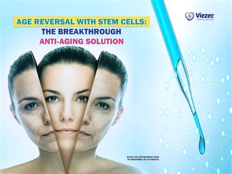 Age Reversal With Stem Cells Breakthrough Anti Aging Solution