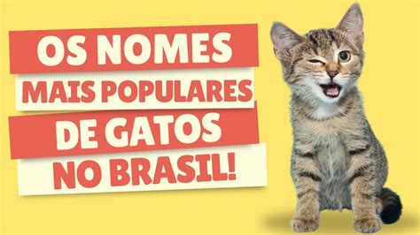 Ideias De Nomes Para Gatos Aqui Est O Os Mais Populares Youtube