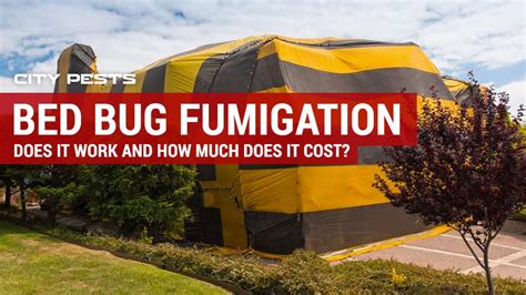 Bed Bug Fumigation: How does it work and how much does it cost