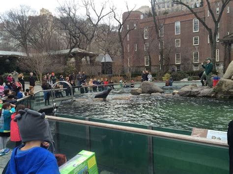 ULTIMATE GUIDE TO NEW YORK CENTRAL PARK ZOO WITH KIDS