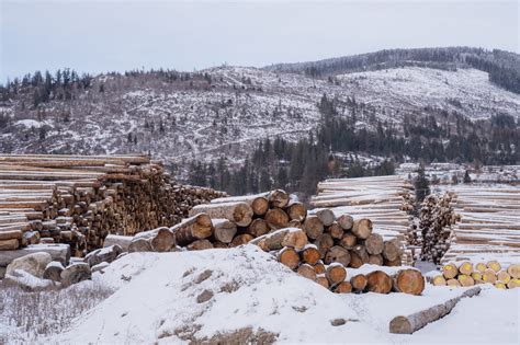 Logging rules in B.C.’s private forests | The Narwhal