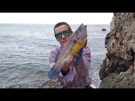 Surfcastingpesca Desde Acantilado En La Rijana Calahonda Granada