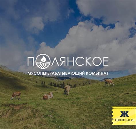 Полянское | Маркетинговая группа «Свежак»