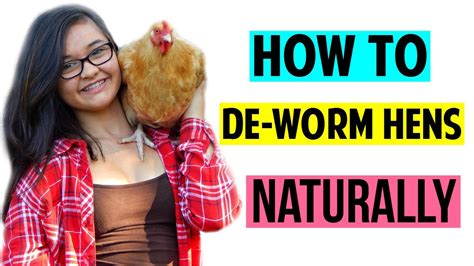 How To Deworm Hens Naturally YouTube