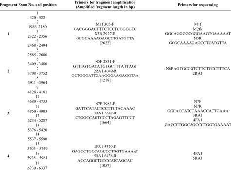 Sequences of primers used for fragment amplification and for sequencing ... 