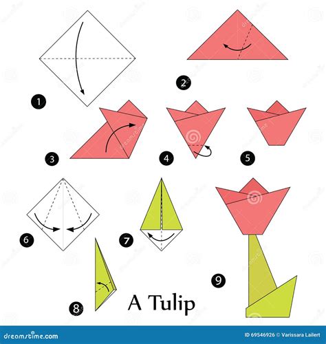 Step By Step Instructions How To Make Origami A Tulip Stock Vector Illustration Of Color