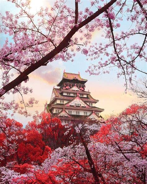 Introducir Imagen Dibujos De Arbol De Cerezo Japones | Sexiz Pix