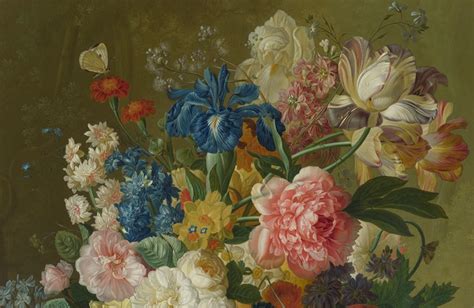 Dutch Flower Paintings - Sheffield Museums Trust