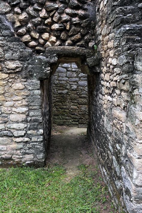 Caracol Mayan Ruins in Belize | Mayan ruins, Belize, Ancient greek architecture