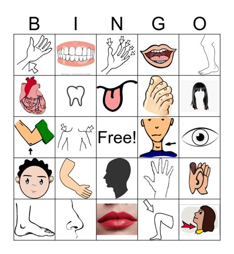 Body Parts Bingo For Kids