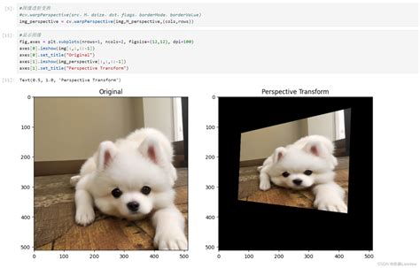 Python Opencv实践 图像透射变换 Python实现对图像随机透视变化 Csdn博客