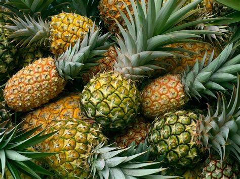 Pineapple