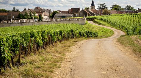 Eat Local in Vosne-Romanée