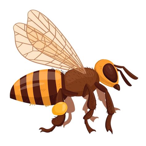 Premium Vector Cartoon Flying Bee Honey Bee Insect Winged Cute