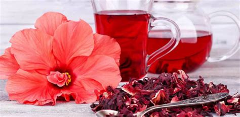 Ceaiul De Hibiscus Beneficii Recomandari Contraindicatii