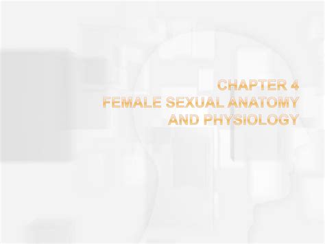 Ppt Chapter 4 Female Sexual Anatomy And Physiology Powerpoint Presentation Id3383755