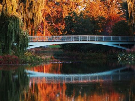 Botanical Gardens Chicago Best Wallpaper Rosella Watts