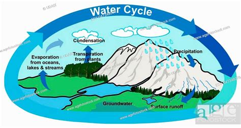 Water Cycle In Nature Diagram With All Part Precipitation Surface