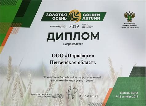 Выставка Летняя мозаика 2023 в Одинцово